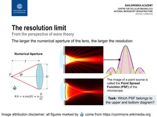 SAHLGRENSKA ACADEMY
The resolution limit
From the perspective of wave theory
The larger the numerical aperture of the lens, the larger the resolution
CENTRE FOR CELLULAR IMAGING (CCI)
NATIONAL MICROSCOPY INFRASTRUCTURE
RAFAEL CAMACHO
The image of a point source is
called the Point Spread
Function (PSF) of the
microscope.
𝑁𝐴 = 𝑛 sin 𝜃 ≈ 𝑛
𝐷
2𝑓
Numerical Aperture
Image attribution disclaimer: all figures marked by come from https://commons.wikimedia.org
Task: Which PSF belongs to
the upper and bottom diagram?
 