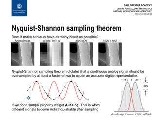 SAHLGRENSKA ACADEMY
Methods Appl. Fluoresc. 6(2018), 022003.
Nyquist-Shannon sampling theorem
CENTRE FOR CELLULAR IMAGING (CCI)
NATIONAL MICROSCOPY INFRASTRUCTURE
Analog image pixels: 10 x 10 500 x 500 1000 x 1000
Does it make sense to have as many pixels as possible?
RAFAEL CAMACHO
Nyquist-Shannon sampling theorem dictates that a continuous analog signal should be
oversampled by at least a factor of two to obtain an accurate digital representation.
If we don’t sample properly we get Aliasing. This is when
different signals become indistinguishable after sampling
 