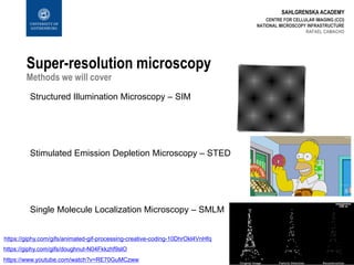 SAHLGRENSKA ACADEMY
Super-resolution microscopy
Methods we will cover
CENTRE FOR CELLULAR IMAGING (CCI)
NATIONAL MICROSCOPY INFRASTRUCTURE
RAFAEL CAMACHO
Structured Illumination Microscopy – SIM
https://giphy.com/gifs/animated-gif-processing-creative-coding-10DhrOkl4VnHfq
Stimulated Emission Depletion Microscopy – STED
https://giphy.com/gifs/doughnut-N04Fkkzhf9slO
https://www.youtube.com/watch?v=RE70GuMCzww
Single Molecule Localization Microscopy – SMLM
 