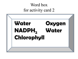 Word boxfor activity card 2Water		OxygenNADPH2		WaterChlorophyll