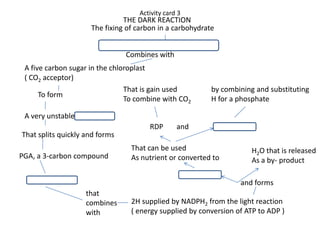 Activity card 3THE DARK REACTIONThe fixing of carbon in a carbohydrateCombines withA five carbon sugar in the chloroplast ( CO2 acceptor)That is gain usedTo combine with CO2by combining and substitutingH for a phosphateTo formA very unstableandRDPThat splits quickly and formsThat can be usedAs nutrient or converted toH2O that is releasedAs a by- productPGA, a 3-carbon compoundand formsthat combines with2H supplied by NADPH2 from the light reaction ( energy supplied by conversion of ATP to ADP )