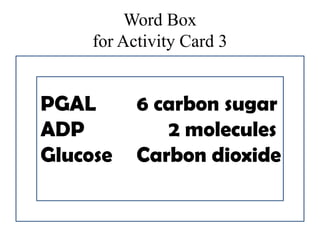 Word Boxfor Activity Card 3PGAL		6 carbon sugarADP			2 moleculesGlucose	Carbon dioxide