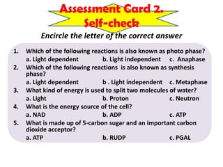 Assessment Card 2.Self-checkEncircle the letter of the correct answerWhich of the following reactions is also known as photo phase?	a. Light dependent		b. Light independent	c.  AnaphaseWhich of the following reactions  is also known as synthesis phase?	a. Light dependent b. Light independent 	c. Metaphase3.	What kind of energy is used to split two molecules of water?	a. Light			b. Proton		c. Neutron 4. 	What is the energy source of the cell?	a. NAD 		b. ADP			c. ATP5.	What is made up of 5-carbon sugar and an important carbon dioxide acceptor?	a. ATP			b. RUDP		c. PGAL
