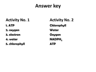 Answer keyActivity No. 11. ATP2. oxygen3. electron4. water5. chlorophyllActivity No. 2ChlorophyllWaterOxygenNADPH2ATP