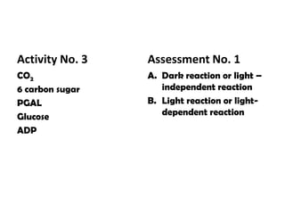 Activity No. 3CO26 carbon sugarPGALGlucoseADPAssessment No. 1Dark reaction or light –independent reactionLight reaction or light- dependent reaction