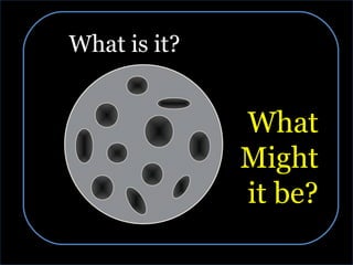What is it? What Might it be? 