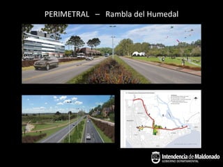 PERIMETRAL – Rambla del Humedal
 