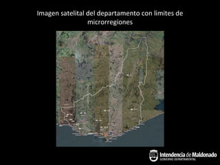 Imagen satelital del departamento con limites de
                 microrregiones
 