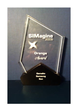 SIMagine 2009 award