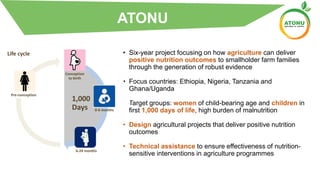 • Six-year project focusing on how agriculture can deliver
positive nutrition outcomes to smallholder farm families
through the generation of robust evidence
• Focus countries: Ethiopia, Nigeria, Tanzania and
Ghana/Uganda
• Target groups: women of child-bearing age and children in
first 1,000 days of life, high burden of malnutrition
• Design agricultural projects that deliver positive nutrition
outcomes
• Technical assistance to ensure effectiveness of nutrition-
sensitive interventions in agriculture programmes
ATONU
1,000
Days
Life cycle
Pre-conception
Conception
to birth
0-6 months
6-24 months
 