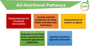 Food production for
household
consumption
Income-oriented
production for food,
health and other non-
food items
Empowerment of
women as agents
Reduction in real food
prices associated with
increased agricultural
production
Nutrition Sensitive
Agricultural Growth
AG-Nutritional Pathways
 