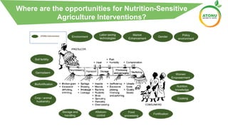 ATONU Interventions
Crop / animal
husbandry
Aflatoxin
control
Storage and
handling
Food
processing
Nutrition
knowledge
Fortification
Biofortification
Women
Empowerment
Soil fertility
Market
Enhancement
Policy
environment
Cooking
Labor saving
technologies
GenderEnvironment
Germplasm
Where are the opportunities for Nutrition-Sensitive
Agriculture Interventions?
 