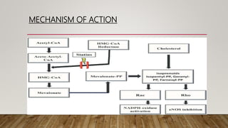 MECHANISM OF ACTION
 