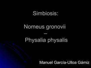 Simbiosis:

Nomeus gronovii
       –
Physalia physalis


      Manuel García-Ulloa Gámiz
 