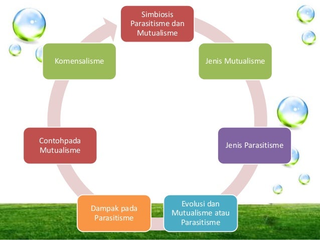 Simbiosis