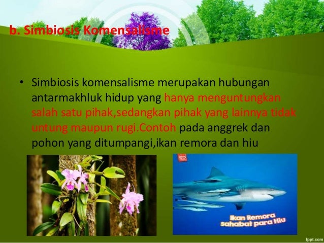 Simbiosis Dan Rantai Makanan