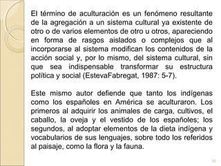 10
El término de aculturación es un fenómeno resultante
de la agregación a un sistema cultural ya existente de
otro o de varios elementos de otro u otros, apareciendo
en forma de rasgos aislados o complejos que al
incorporarse al sistema modifican los contenidos de la
acción social y, por lo mismo, del sistema cultural, sin
que sea indispensable transformar su estructura
política y social (EstevaFabregat, 1987: 5-7).
Este mismo autor defiende que tanto los indígenas
como los españoles en América se aculturaron. Los
primeros al adquirir los animales de carga, cultivos, el
caballo, la oveja y el vestido de los españoles; los
segundos, al adoptar elementos de la dieta indígena y
vocabularios de sus lenguajes, sobre todo los referidos
al paisaje, como la flora y la fauna.
 