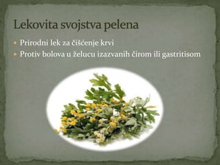  Prirodni lek za čišćenje krvi
 Protiv bolova u želucu izazvanih čirom ili gastritisom
 