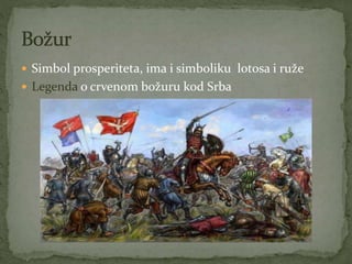  Simbol prosperiteta, ima i simboliku lotosa i ruže
 Legenda o crvenom božuru kod Srba
 