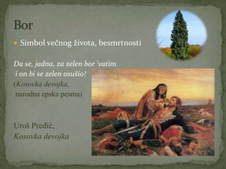  Simbol večnog života, besmrtnosti
Da se, jadna, za zelen bor 'vatim
i on bi se zelen osušio!
(Kosovka devojka,
narodna epska pesma)
Uroš Predić,
Kosovka devojka
 
