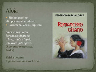  Simbol gorčine,
ali i poštenja i mudrosti
 Posvećena Zevsu/Jupiteru
Smokva trlja vetar
korom svojih grana
a breg, mačak lupež,
ježi svoje ljute agave.
(Romansa mesečarka,
Lorka)
Zbirka pesama
Ciganski romansero, Lorka
 