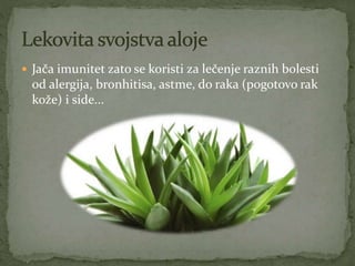  Jača imunitet zato se koristi za lečenje raznih bolesti
od alergija, bronhitisa, astme, do raka (pogotovo rak
kože) i side...
 