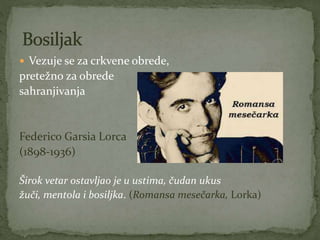  Vezuje se za crkvene obrede,
pretežno za obrede
sahranjivanja
Federico Garsia Lorca
(1898-1936)
Širok vetar ostavljao je u ustima, čudan ukus
žuči, mentola i bosiljka. (Romansa mesečarka, Lorka)
 