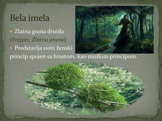  Zlatna grana druida
(Frejzer, Zlatna grana)
 Predstavlja sveti ženski
princip spojen sa hrastom, kao muškim principom.
 