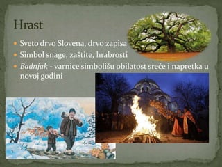  Sveto drvo Slovena, drvo zapisa
 Simbol snage, zaštite, hrabrosti
 Badnjak - varnice simbolišu obilatost sreće i napretka u
novoj godini
 