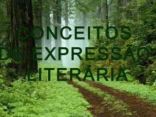 CONCEITOS
DE EXPRESSÃO
LITERÁRIA
 