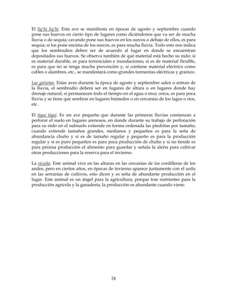 28
El liq'hi liq'hi. Esta ave se manifiesta en épocas de agosto y septiembre cuando
pone sus huevos en cierto tipo de lugares como diciéndonos que va ser de mucha
lluvia o de sequía; cavando pone sus huevos en los surcos o debajo de ellos, es para
sequia; si los pone encima de los surcos, es para mucha lluvia. Todo esto nos indica
que los sembradíos deben ser de acuerdo al lugar en donde se encuentran
depositados sus huevos. Se observa también de qué material está hecho su nido; si
es material durable, es para torrenciales e inundaciones; si es de material flexible,
es para que no se tenga mucha prevención y, si contiene material eléctrico como
cables o alambres, etc., se manifestará como grandes tormentas eléctricas y granizo.
Las gaviotas. Estas aves durante la época de agosto y septiembre salen o entran de
la lluvia, el sembradío deberá ser en lugares de altura o en lugares donde hay
drenaje natural; si permanecen todo el tiempo en el agua o muy cerca, es para poca
lluvia y se tiene que sembrar en lugares húmedos o en cercanías de los lagos o ríos,
etc.
El tiqui tiqui. Es un ave pequeña que durante las primeras lluvias comienzan a
perforar el suelo en lugares arenosos, en donde durante su trabajo de perforación
para su nido en el subsuelo extiende en forma ordenada las piedritas por tamaño;
cuando extiende tamaños grandes, medianos y pequeños es para la seña de
abundancia chuño y si es de tamaño regular y pequeño es para la producción
regular y si es puro pequeños es para poca producción de chuño y si no tiende es
para pésima producción el alimento para guardar y señala la alerta para cultivar
otras producciones para la reserva para el invierno.
La vicuña. Este animal vive en las alturas en las cercanías de las cordilleras de los
andes, pero en ciertos años, en épocas de invierno aparece juntamente con el urdu
en las serranías de cultivos, esto dicen y es seña de abundante producción en el
lugar. Este animal es un ángel para la agricultura, porque trae nutrientes para la
producción agrícola y la ganadería; la producción es abundante cuando viene.
 