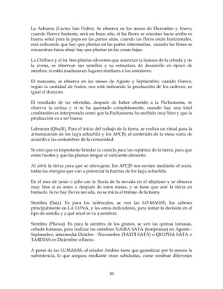 30
La Achuma (Cactus San Pedro). Se observa en los meses de Diciembre y Enero;
cuando florece bastante, será un buen año, si las flores se orientan hacia arriba es
buena señal para la papa en las partes altas, cuando las flores están horizontales,
está indicando que hay que plantar en las partes intermedias, cuando las flores se
encuentran hacia abajo hay que plantar en las zonas bajas.
La Chilliwa y el Iri. Son plantas silvestres que anuncian la lumasa de la cebada y de
la avena, se observan sus semillas y su estructura de desarrollo en época de
siembra; si están maduras en lugares similares a los anteriores.
El manzano, se observa en los meses de Agosto y Septiembre; cuando florece,
según la cantidad de frutos, nos está indicando la producción de los cultivos, es
igual el durazno.
El resultado de las ofrendas, después de haber ofrecido a la Pachamama, se
observa la ceniza y si se ha quemado completamente, cuando hay una total
combustión es interpretado como que la Pachamama ha recibido muy bien y que la
producción va a ser buena.
Labranza (Qhulli). Para el inicio del trabajo de la tierra, se realiza un ritual para la
armonización de los laq'a achachila y los APCJS, el contenido de la mesa varía de
acuerdo a las costumbres de la comunidad.
Se cree que es importante brindar la comida para los espíritus de la tierra, para que
estén fuertes y que las plantas tengan el suficiente alimento.
Al abrir la tierra para que se nitro-gene, los APCJS nos envían mediante el rocío,
todas las energías que van a potenciar la fuerzas de los laq'a achachila.
En el mes de junio o julio cae la lluvia de la nevada en el altiplano y se observa
muy bien si es antes o después de estos meses, y se tiene que arar la tierra en
húmedo. Si no hay lluvia nevada, no se inicia el trabajo de la tierra.
Siembra (Sata). Es para los tubérculos, se ven las LO-MASAS, los saberes
principalmente en LA LUNA, y los otros indicadores, para tomar la decisión en el
tipo de semilla y a qué nivel se va a sembrar.
Siembra (Phawa). Es para la siembra de los granos, se ven las quinua lumasas,
cebada lumasas, para realizar las siembras NAIRA SATA (tempranas) en Agosto -
Septiembre, intermedia Octubre - Noviembre (TAYPI SATA) o QH1PHA SATA o
TARDÍAS en Diciembre o Enero.
A pesar de las LUMASAS, el criador Andino tiene que garantizar por lo menos la
subsistencia, lo que asegura mediante otras sabidurías, como sembrar diferentes
 