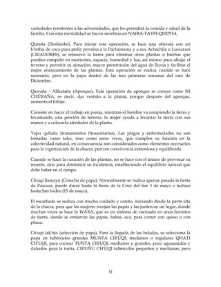 31
variedades resistentes a las adversidades, que les permitirá la comida y salud de la
familia. Con esta mentalidad se hacen siembras en NAIRA-TAYPI-QHIPHA.
Quraña (Deshierbe). Para iniciar esta operación, se hace una ofrenda con un
k'inthu de coca para pedir permiso a la Pachamama y a sus Achachila o Luwarani
(CRIADORES), se remueve la tierra para eliminar otras plantas o hierbas que
puedan competir en nutrientes, espacio, humedad y luz, así mismo para aflojar el
terreno y permitir su aireación, mayor penetración del agua de lluvia y facilitar el
mejor enraizamiento de las plantas. Esta operación se realiza cuando se hace
necesario, pero en la papa dentro de las tres primeras semanas del mes de
Diciembre.
Qawaña - Allkataña (Aporque). Esta operación de aporque se conoce como ISI
CHÜRAÑA, es decir, dar vestido a la planta, porque después del aporque,
aumenta el follaje.
Consiste en hacer el trabajo en pareja, mientras el hombre va rompiendo la tierra y
levantando, una porción de terreno, la mujer ayuda a levantar la tierra con sus
manos y a colocarla alrededor de la planta.
Yapu qullaña (tratamientos fitosanitarios). Las plagas y enfermedades no son
lomadas como tales, sino como seres vivos, que cumplen su función en la
colectividad natural, en consecuencia son considerados como elementos necesarios
para la vigorización de la chacra, pero en convivencia armoniosa y equilibrada.
Cuando se hace la curación de las plantas, no se hace con el ánimo de provocar su
muerte, sino para disminuir su incidencia, estableciendo el equilibrio natural que
debe haber en el campo.
Ch'uqi llamayu (Cosecha de papa). Normalmente se realiza apenas pasada la fiesta
de Pascuas, puede durar hasta la fiesta de la Cruz del Sur 3 de mayo e incluso
hasta San Isidro (15 de mayo).
El escarbado se realiza con mucho cuidado y cariño, iniciando desde la parte alta
de la chacra, para que las mujeres recojan las papas y las junten en un lugar, donde
muchas veces se hace la WAXA, que es un sistema de cocinado en unos hornitos
de tierra, donde se entierran las papas, habas, oca, para comer con queso o con
phasa.
Ch'uqi lak'iña (selección de papa). Para la llegada de las heladas, se selecciona la
papa en tubérculos grandes MUNTA CH'UQI, medianos o regulares QHATI
CH'UQI, para cocinar TUNTA CH'UQI, medianos y grandes, poco agusanados y
dañados para la tunta, CH'UÑU CH'UQI tubérculos pequeños y medianos, pero
 