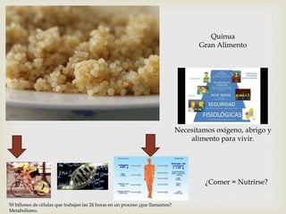 Quinua
Gran Alimento

Necesitamos oxígeno, abrigo y
alimento para vivir.

¿Comer = Nutrirse?
50 billones de células que trabajan las 24 horas en un proceso ¡que llamamos?
Metabolismo.

 