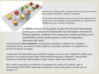 Puesto que 6% del peso de un grano es fibra, lo que favorece un
buen tránsito intestinal y regula el colesterol.
Por un lado la fibra elimina toxinas en su arrastre depurando el
cuerpo y por otro, absorbe el agua brindando una sensación de
saciedad con poco volumen de quinua.

La lisina presente en la quinua ayuda en la función inmunitaria
puesto que colabora en la formación de anticuerpos, favorece la
función gástrica, colabora en la reparación celular, participa en el
metabolismo de los ácidos grasos, ayuda al transporte y
absorción del calcio.
La presencia de otras nutrientes en la quinua contribuye a mejorar los trastornos
neuromusculares, previenen el daño hepático y permiten mantener en equilibrio los
niveles de azúcar en sangre.
La presencia de metionina es prometedora porque se conoce que el hígado la utiliza para
producir una sustancia para tratar enfermedades hepáticas, depresión, osteoartritis,
trastornos cerebrales, fibromialgia y fatiga crónica, entre otras dolencias.

Hay mucha expectativa en relación a la presencia de aceite en la quinua, que si
desarrollamos ESTUDIOS adecuados, podremos extraer del grano un aceite rico en
omega 6 y 9.

 