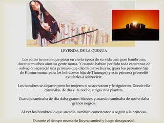 LEYENDA DE LA QUINUA
Los collas tuvieron que pasar en cierta época de su vida una gran hambruna,
durante muchos años su gente moría. Y cuando habían perdido toda esperanza de
salvación apareció una princesa que dijo llamarse Jiuyra, (para los peruanos hija
de Kunturmama, para los bolivianos hija de Thunupa) y esta princesa prometió
ayudarles a sobrevivir.
Los hombres se alejaron pero las mujeres si se acercaron y le siguieron. Donde ella
caminaba, de día y de noche, surgía una plantita.
Cuando caminaba de dia daba granos blancos y cuando caminaba de noche daba
granos negros.
Al ver los hombres lo que sucedía, también comenzaron a seguir a la princesa.
Durante el tiempo necesario Jiuyra caminó y luego desapareció.

 