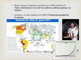 • Repo-Carrasco, Espinoza, Jacobsen en el 2003 publican el
Valor nutricional y el uso de los cultivos andinos quinua y la
kañiwa
• Jacobsen, ya sólo, publica en el 2007 el Potencial mundial de
la quinua.

 