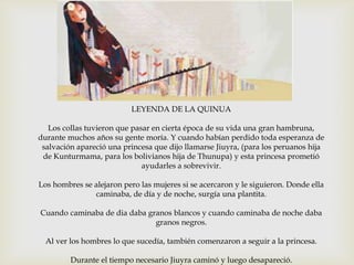 LEYENDA DE LA QUINUA
Los collas tuvieron que pasar en cierta época de su vida una gran hambruna,
durante muchos años su gente moría. Y cuando habían perdido toda esperanza de
salvación apareció una princesa que dijo llamarse Jiuyra, (para los peruanos hija
de Kunturmama, para los bolivianos hija de Thunupa) y esta princesa prometió
ayudarles a sobrevivir.
Los hombres se alejaron pero las mujeres si se acercaron y le siguieron. Donde ella
caminaba, de día y de noche, surgía una plantita.
Cuando caminaba de dia daba granos blancos y cuando caminaba de noche daba
granos negros.
Al ver los hombres lo que sucedía, también comenzaron a seguir a la princesa.
Durante el tiempo necesario Jiuyra caminó y luego desapareció.

 