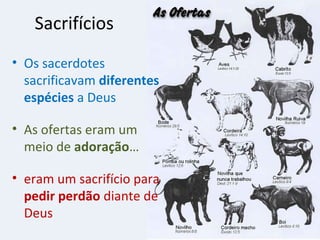 Sacrifícios
• Os sacerdotes
  sacrificavam diferentes
  espécies a Deus

• As ofertas eram um
  meio de adoração…

• eram um sacrifício para
  pedir perdão diante de
  Deus
 