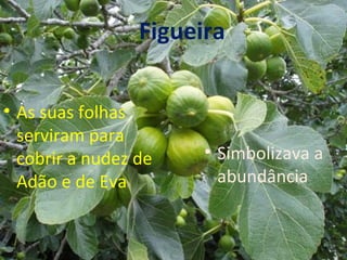 Figueira


• As suas folhas
  serviram para
  cobrir a nudez de    • Simbolizava a
  Adão e de Eva          abundância
 