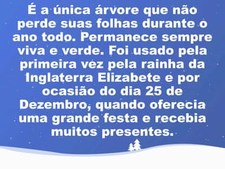 É a única árvore que não 
perde suas folhas durante o 
ano todo. Permanece sempre 
viva e verde. Foi usado pela 
primeira vez pela rainha da 
Inglaterra Elizabete e por 
ocasião do dia 25 de 
Dezembro, quando oferecia 
uma grande festa e recebia 
muitos presentes. 
 