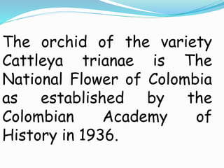 The orchid of the variety
Cattleya trianae is The
National Flower of Colombia
as established by the
Colombian Academy of
History in 1936.
 
