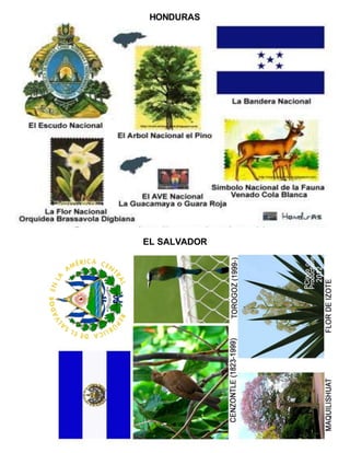 HONDURAS
EL SALVADOR
 