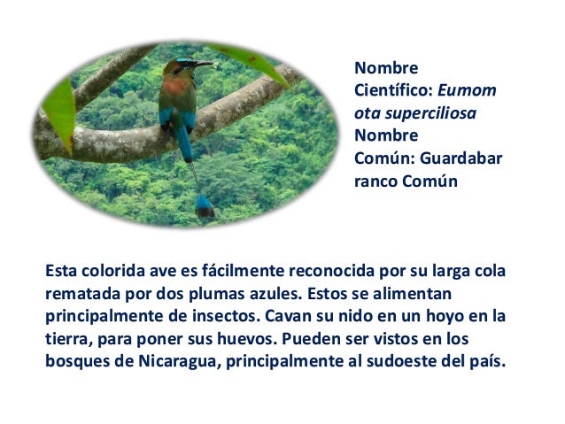 Símbolos patrios y nacionales de Nicaragua