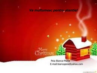 Va multumesc pentru atentie! Peia Bianca-Maria E-mail:biancapeia@yahoo.com 