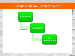 Categoría de los Establecimientos
 