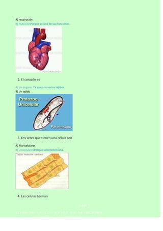 A) respiración
B) NutriciónPorque es una de sus funciones.



2. El corazón es
A) Un órgano Ya que son varios tejidos.
B) Un tejido



3. Los seres que tienen una célula son
A) Pluricelulares
B) UnicelularesPorque solo tienen una.



4. Las células forman
CLAVE
1C–2A–3A– 4 A - 5 C–

6 A - 7 B - 8 A - 9 A - 10 C 1º PARTE

 