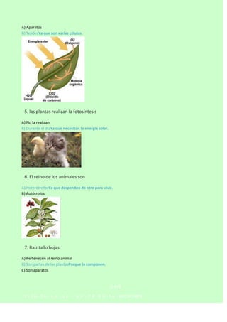 A) Aparatos
B) TejidosYa que son varias células.



5. las plantas realizan la fotosíntesis
A) No la realizan
B) Durante el díaYa que necesitan la energía solar.



6. El reino de los animales son
A) HeterótrofosYa que despenden de otro para vivir.
B) Autótrofos



7. Raíz tallo hojas
A) Pertenecen al reino animal
B) Son partes de las plantasPorque la componen.
C) Son aparatos

CLAVE
1C–2A–3A– 4 A - 5 C–

6 A - 7 B - 8 A - 9 A - 10 C 1º PARTE

 