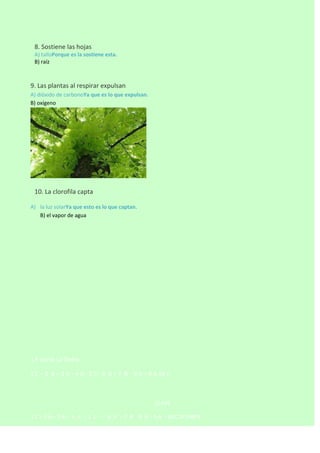 


8. Sostiene las hojas
A) talloPorque es la sostiene esta.
B) raíz

9. Las plantas al respirar expulsan
A) dióxido de carbonoYa que es lo que expulsan.
B) oxígeno



10. La clorofila capta
A) la luz solarYa que esto es lo que captan.
B) el vapor de agua

1 ª parte La Tierra
1 C – 2 A – 3 A – 4 A- 5 C- 6 A – 7 B – 8 A – 9 A 10 C

CLAVE
1C–2A–3A– 4 A - 5 C–

6 A - 7 B - 8 A - 9 A - 10 C 1º PARTE

 