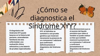 El diagnóstico del
Síndrome XYY puede
basarse en la historia del
paciente, antecedentes
familiares de esta
enfermedad, una
evaluación clínica
exhaustiva y una batería
de pruebas especializadas.
Si se sospecha el Síndrome
XYY, el individuo se
someterá a una prueba
genética que mostrará
claramente la presencia de
un cromosoma Y adicional
que confirmará
definitivamente el
diagnóstico del Síndrome
XYY.
Una amniocentesis que es
el examen del líquido
amniótico que rodea al
También se puede realizar
un feto que también
mostrará la presencia de
un cromosoma Y adicional
y confirmará
prenatalmente el
diagnóstico del Síndrome
XYY.
¿Cómo se
diagnostica el
Síndrome XYY?
 